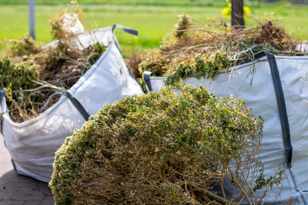 Best Yard Waste Removal  in Ravenna, NE